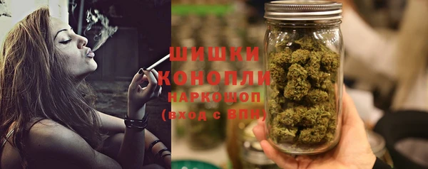 дживик Володарск