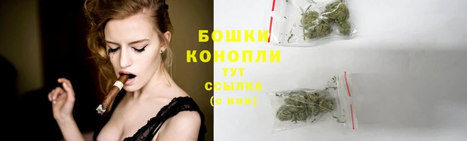 дживик Володарск