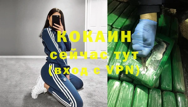гашик Волосово