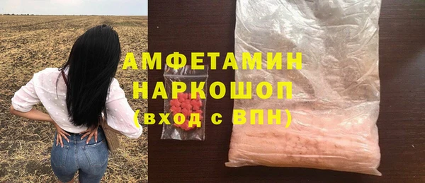 стаф Вяземский