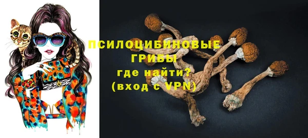 дживик Володарск