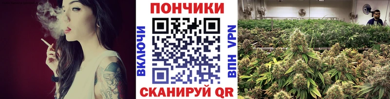 закладка  Плавск  Бошки марихуана OG Kush 